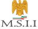 MSII