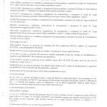 2014.03.05 - TRIBUNALE TREVISO - GIP - DECRETO DI RINVIO A GIUDIZIO - PAG.2